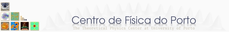 Centro de Fí­sica da Universidade do Porto